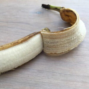 Dyrk bakterier på banan