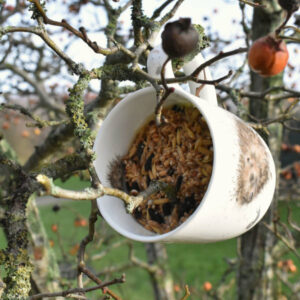 Hjemmelavet fuglefoder hængt op i en kop
