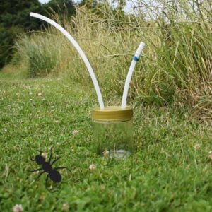 Hjemmelavet insektsuger som kan bruges til at fange smådyr og insekter