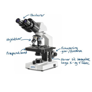 Vejledning til hvordan man får succes med mikroskopet