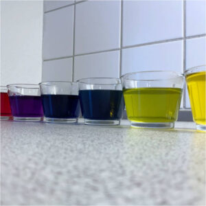 Farvet væske i glas som et resultat af rødkål som ph-indikator