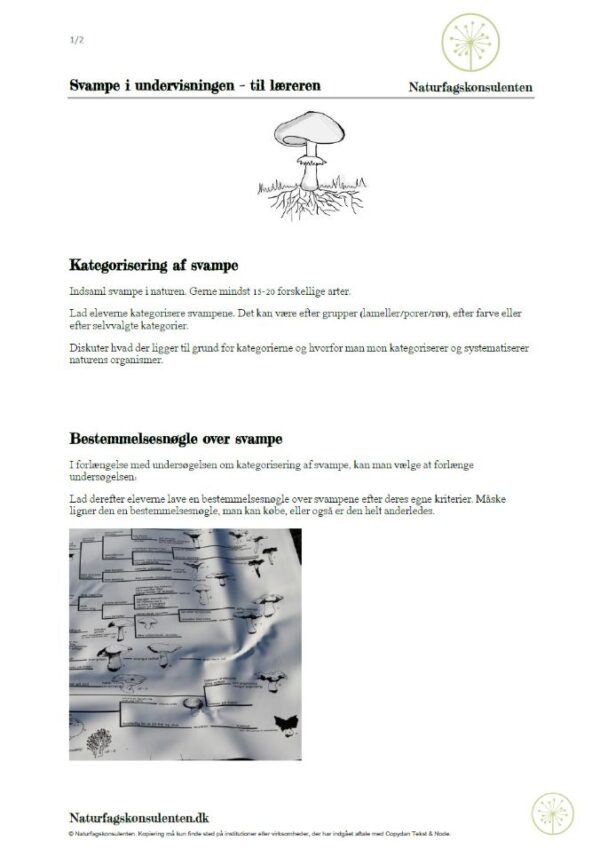 Oversigt over forskellige måder at inddrage svampe i undervisningen til læreren