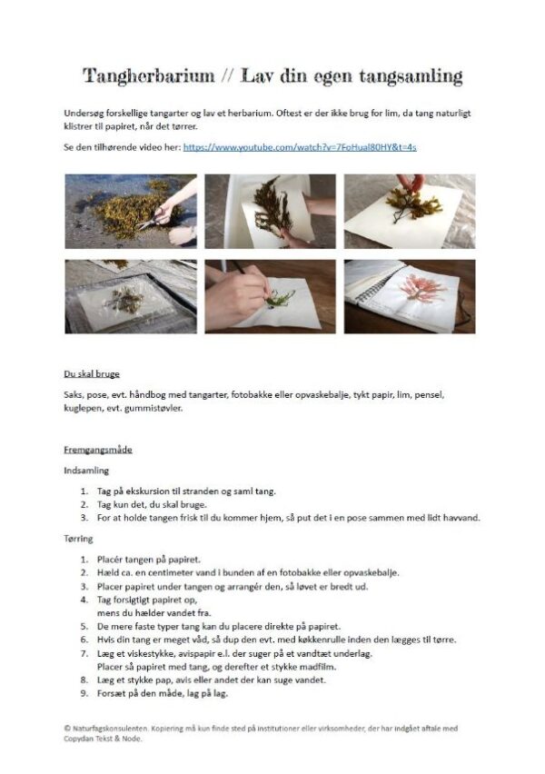 Instruktioner til hvordan du laver dit eget herbarium med indsamlet tang fra havet hvilket kan bruges som en undersøgelse i naturfag