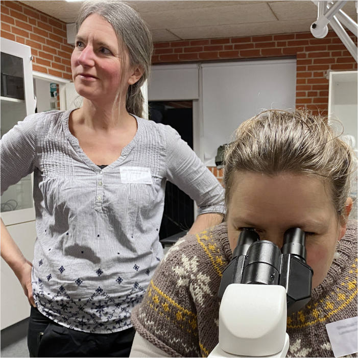 Lærer kigger i mikroskop på kursus i naurfag med Naturfagskonsulenten