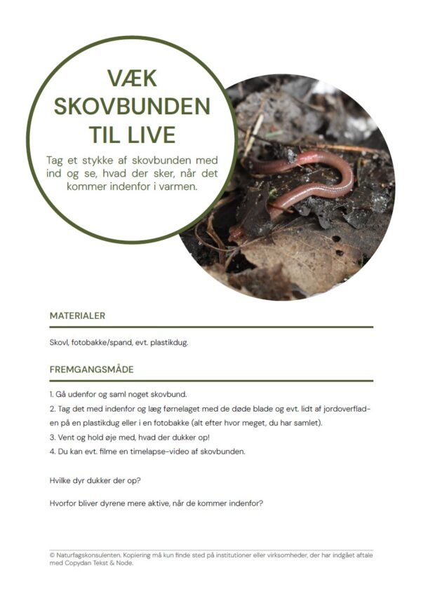 Væk skovbunden til live - Image 2