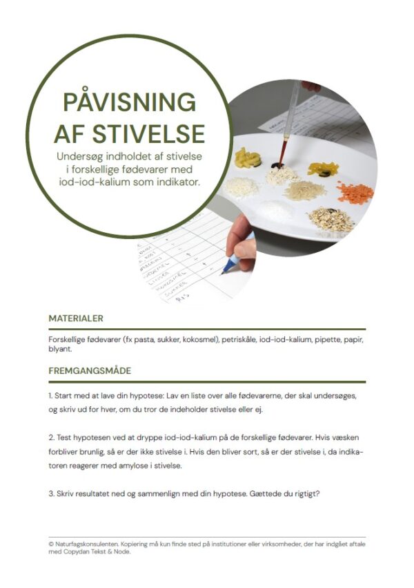 Påvisning af stivelse - Image 2