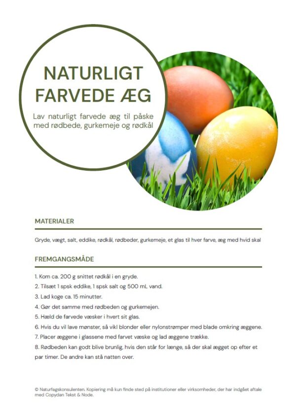 Naturligt farvede påskeæg - Image 2