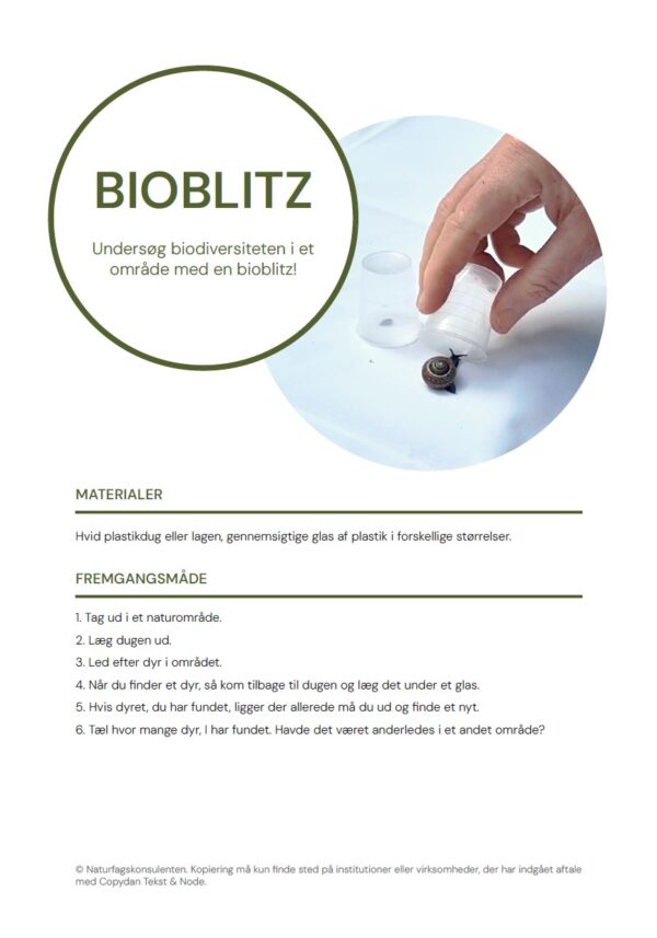 Bioblitz - Billede 2