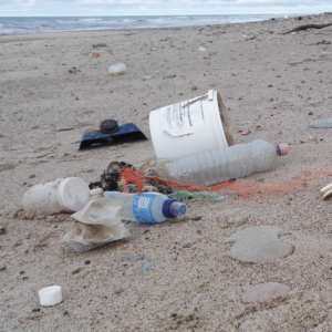 Plast på globalt plan