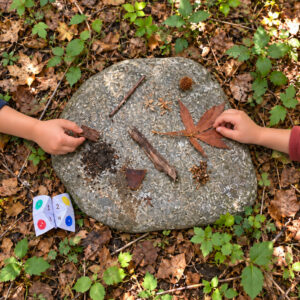 På naturjagt med flipflappere i skoven