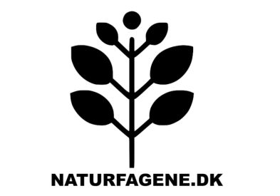 naturfagene_dk